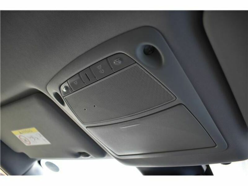 X-TRAIL-24