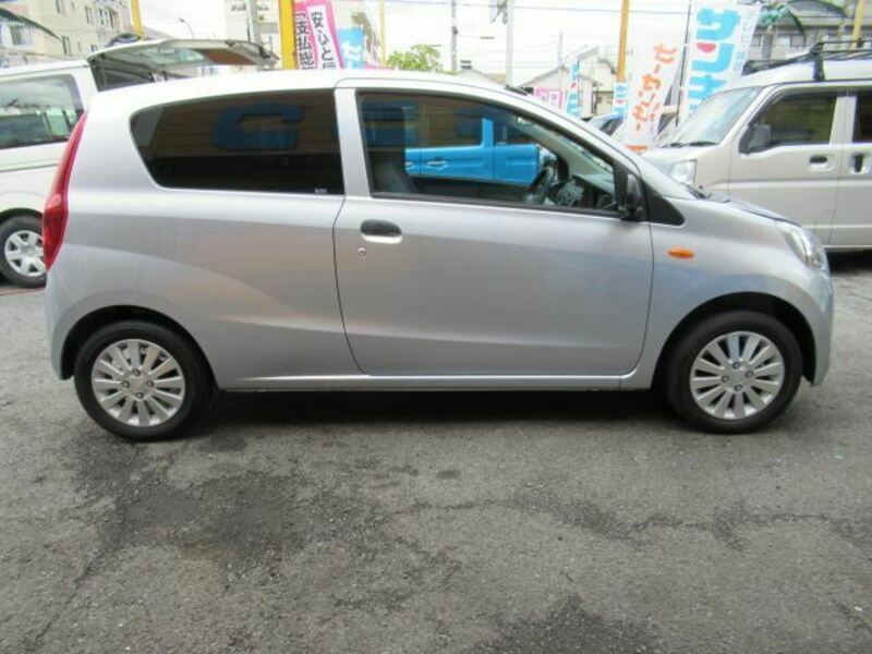 PLEO-8