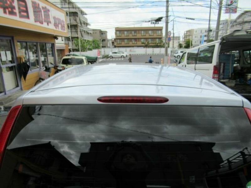 PLEO-13