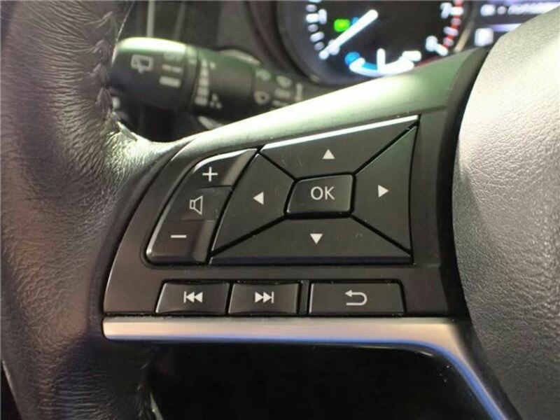 X-TRAIL-19