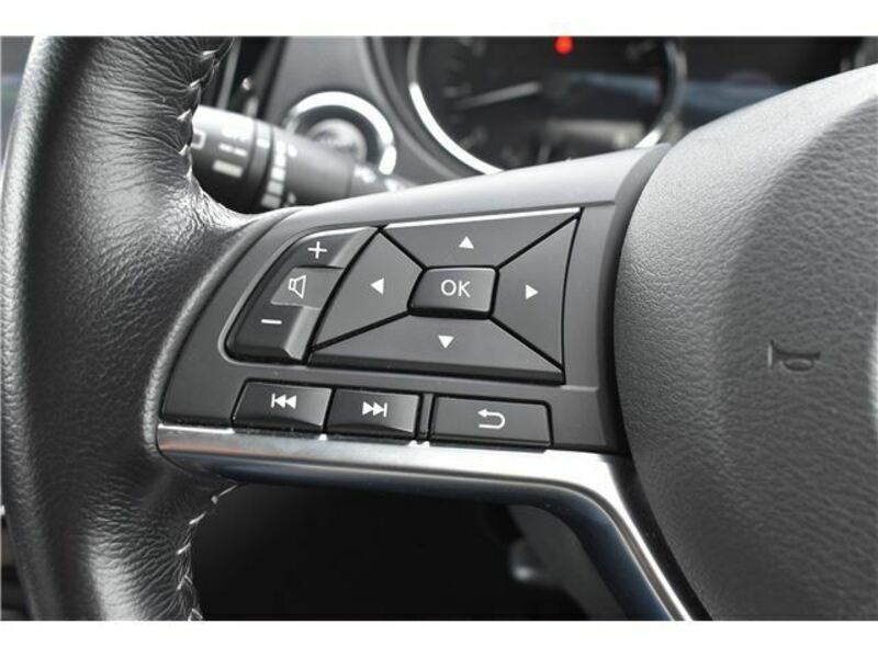 X-TRAIL-16