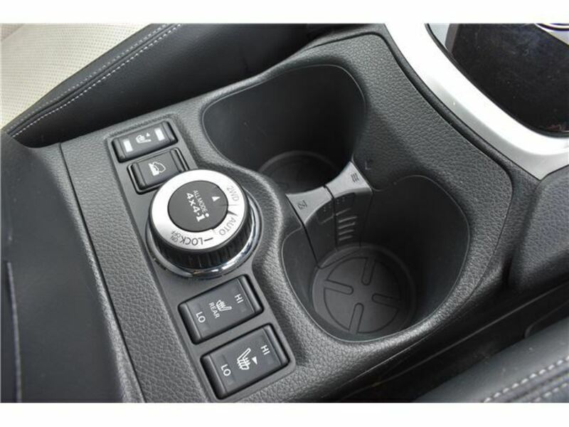 X-TRAIL-20