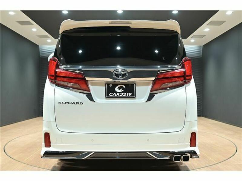 ALPHARD-3