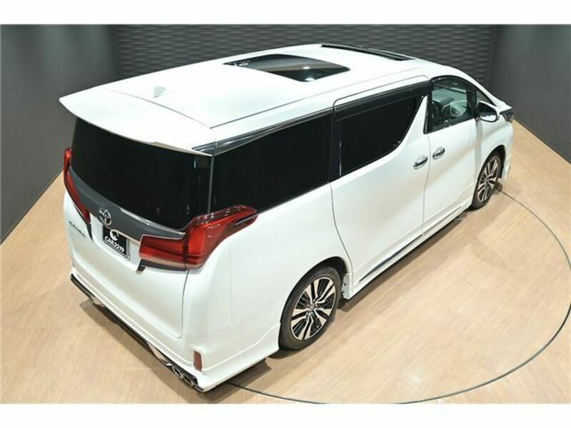 ALPHARD-7