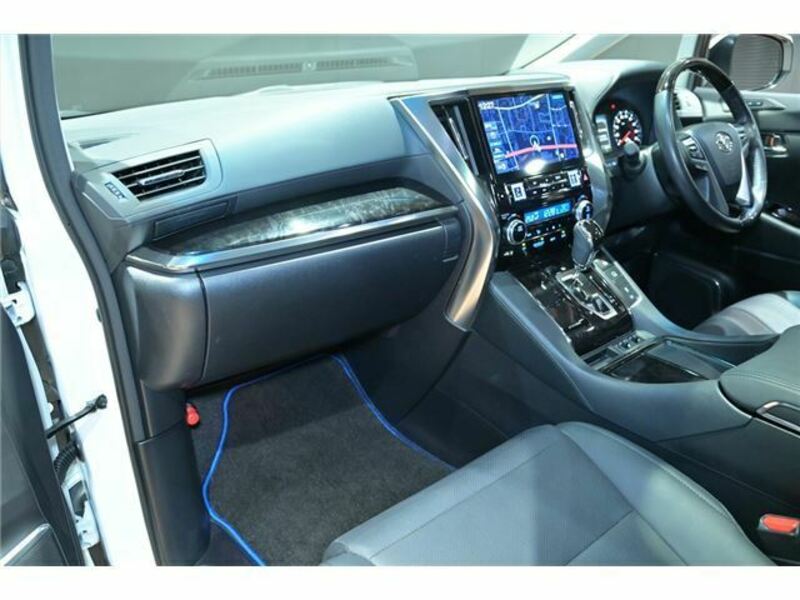 ALPHARD-10
