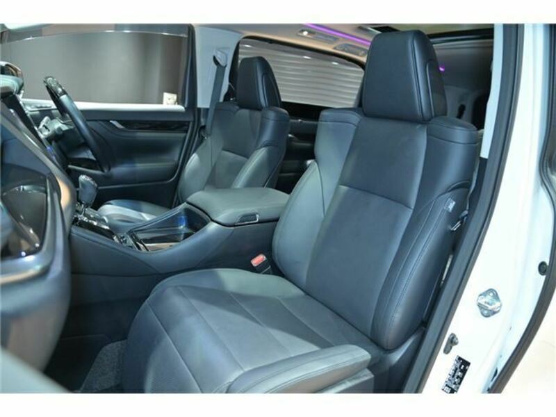 ALPHARD-19