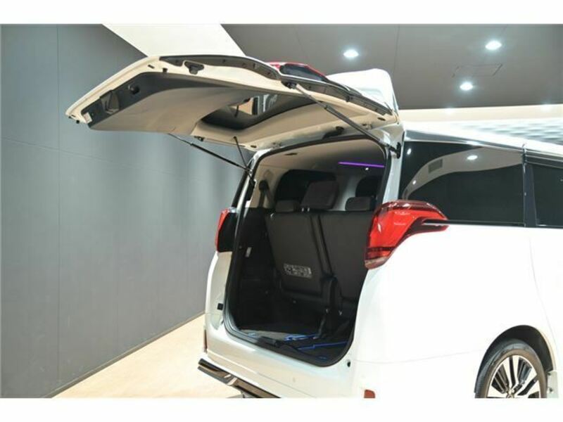 ALPHARD-41