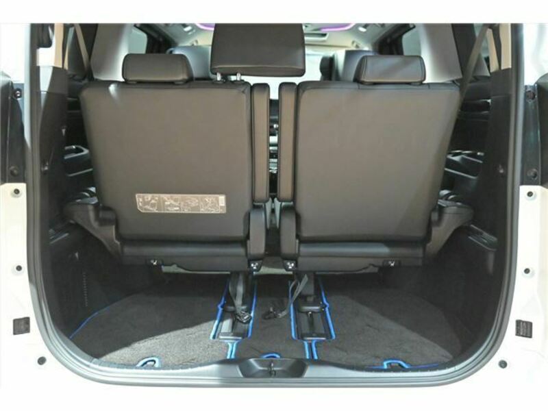 ALPHARD-42
