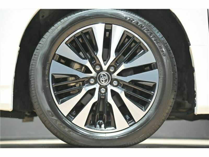 ALPHARD-44
