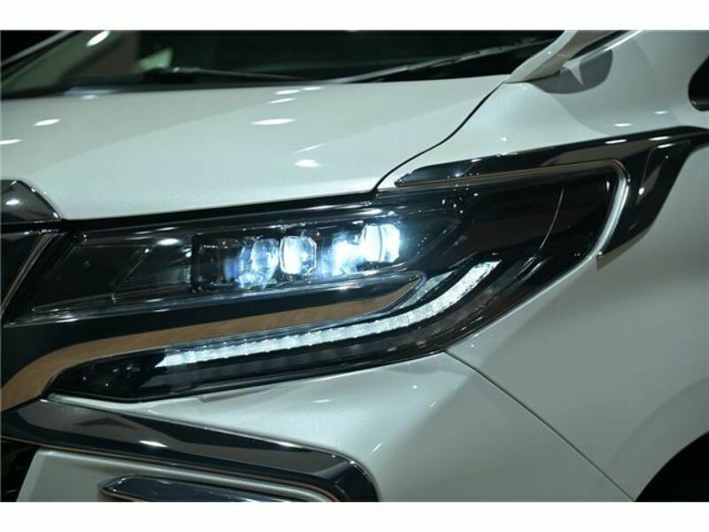 ALPHARD-46