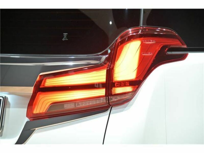 ALPHARD-48