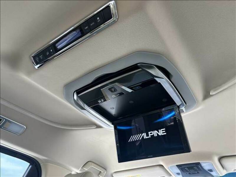 ALPHARD-10