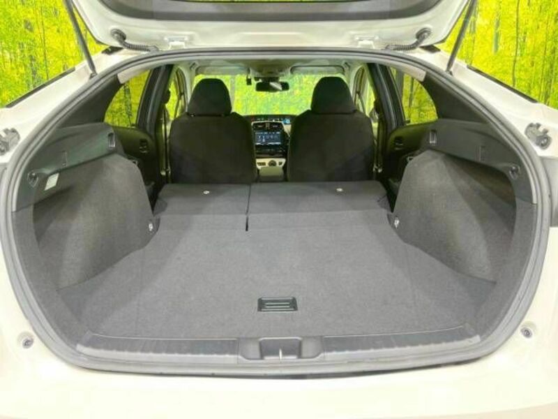 PRIUS-9