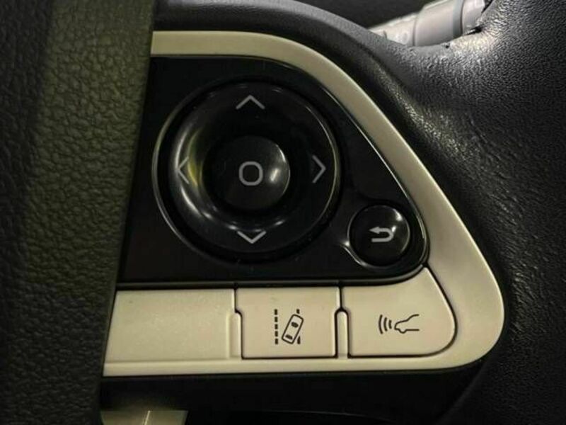 PRIUS-3