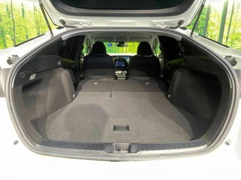 PRIUS-9