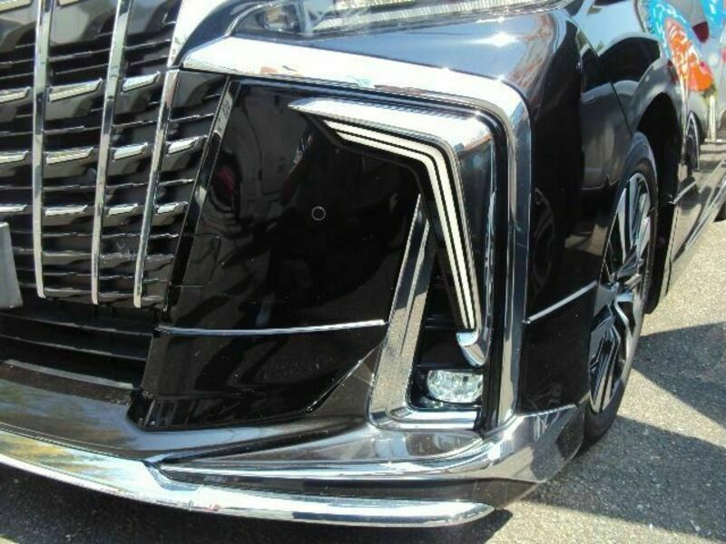 ALPHARD-22