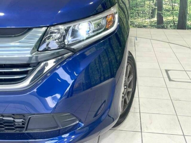 FREED HYBRID-12