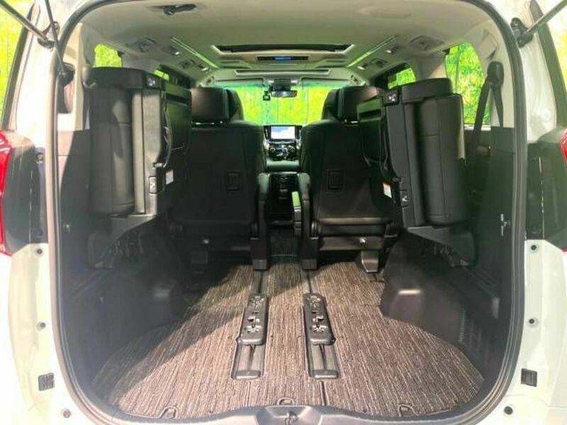 ALPHARD-10