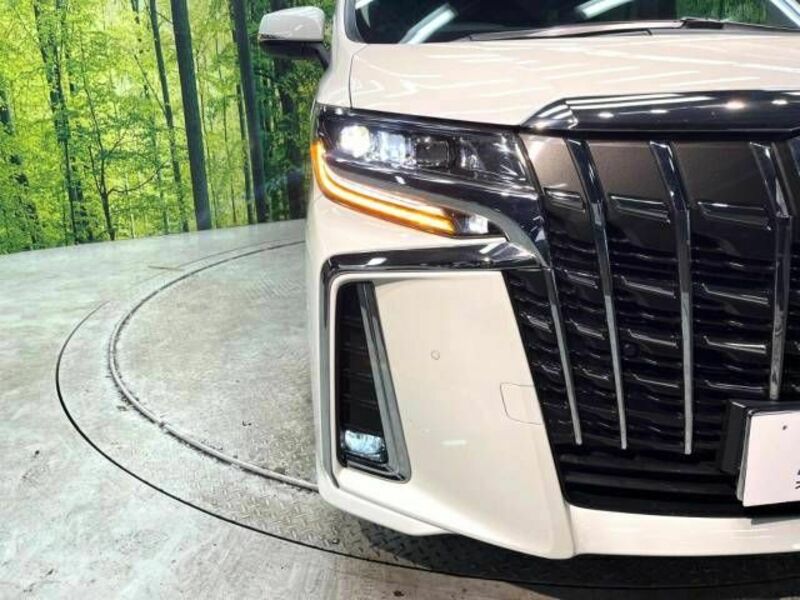 ALPHARD-12