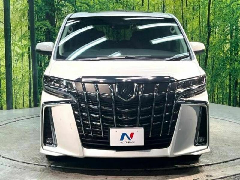ALPHARD-14