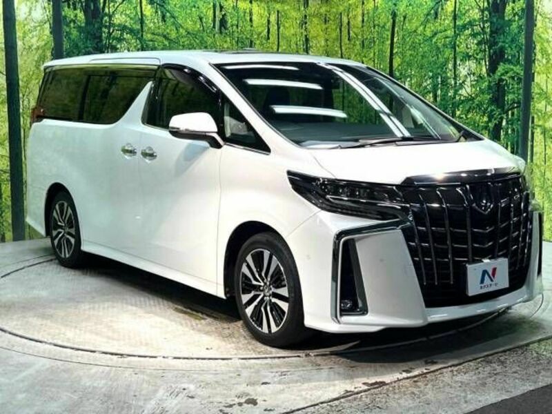 ALPHARD-16