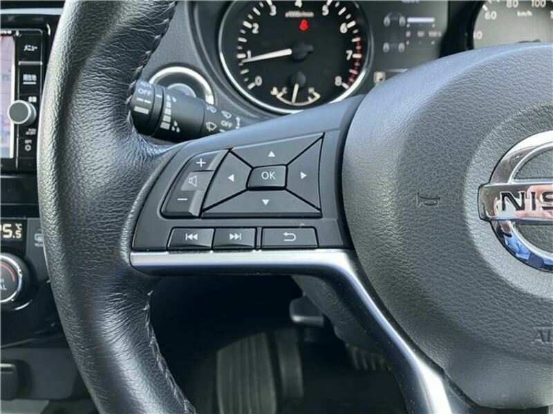 X-TRAIL-10