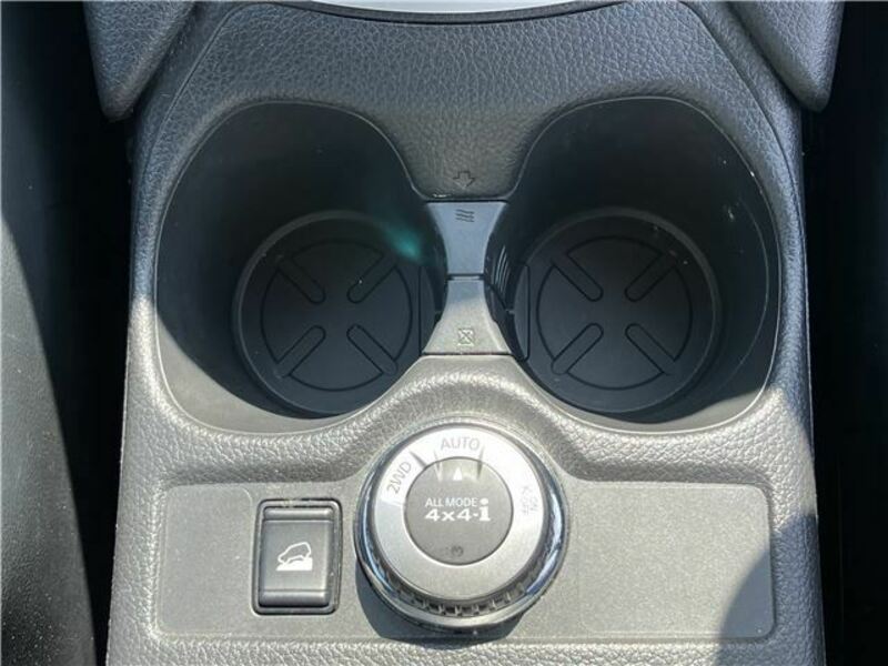 X-TRAIL-20