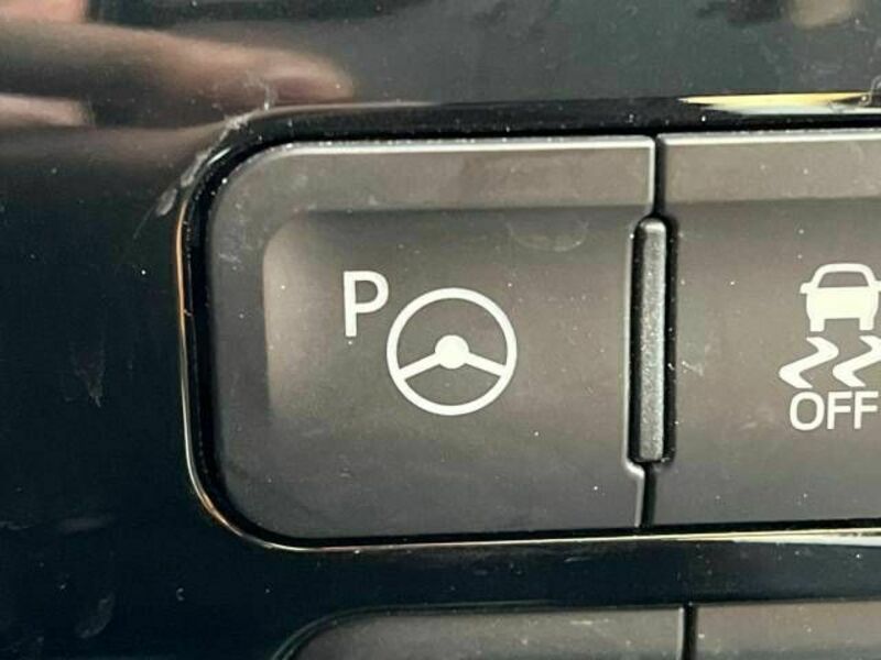PRIUS-6