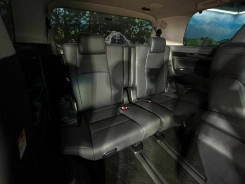 ALPHARD-9