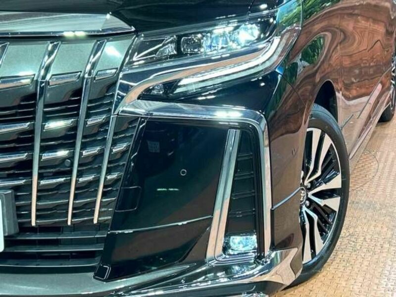 ALPHARD-12