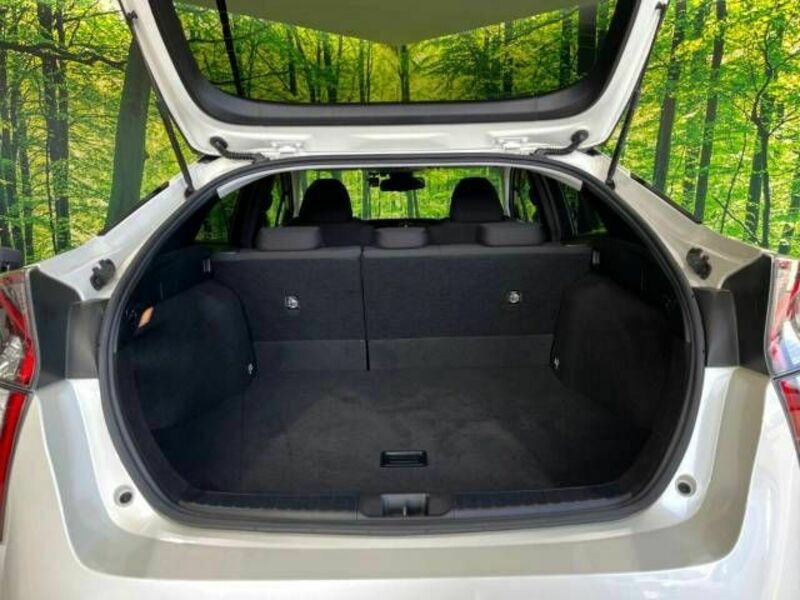 PRIUS-9