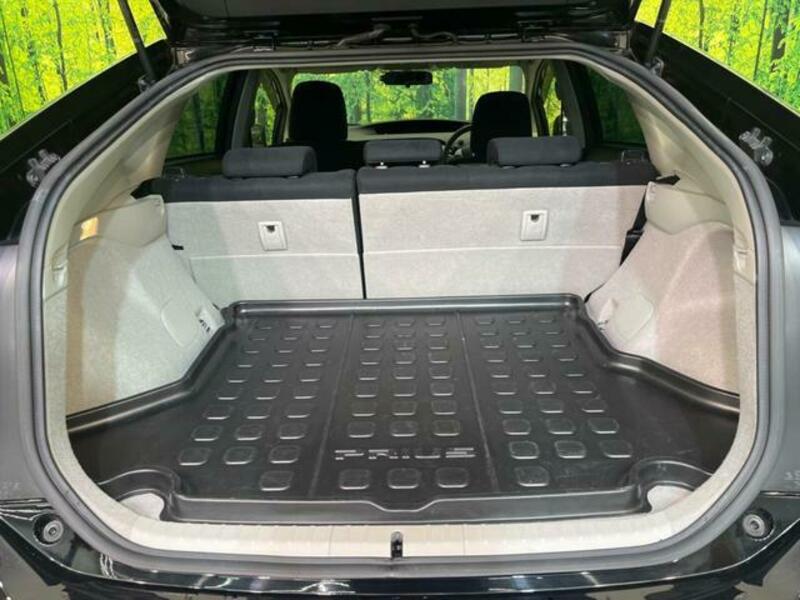 PRIUS-9