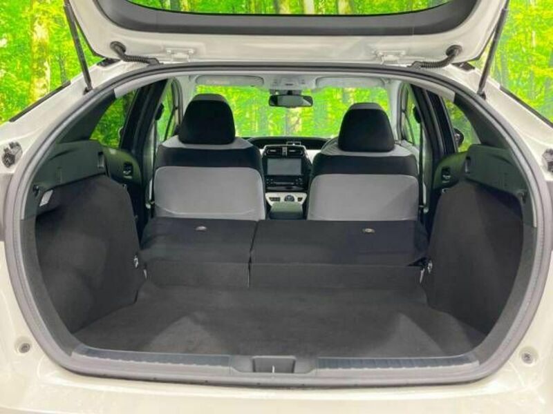 PRIUS-9