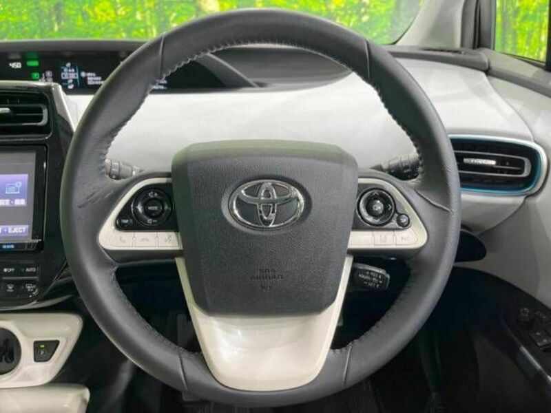 PRIUS-10
