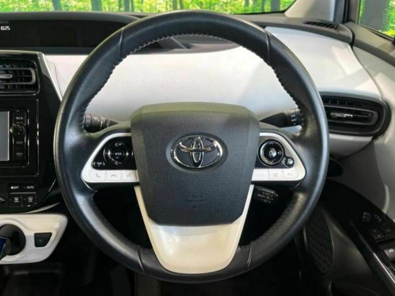 PRIUS-10