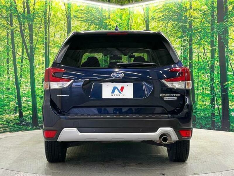 FORESTER-15