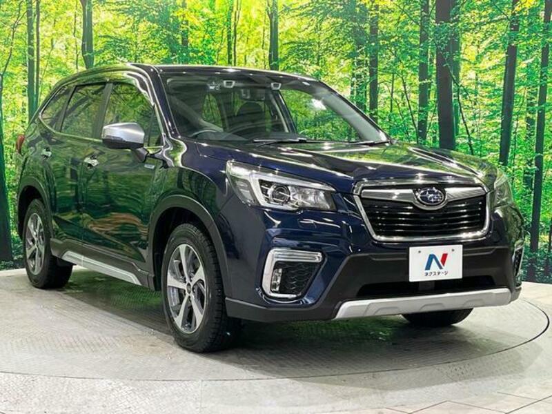FORESTER-16