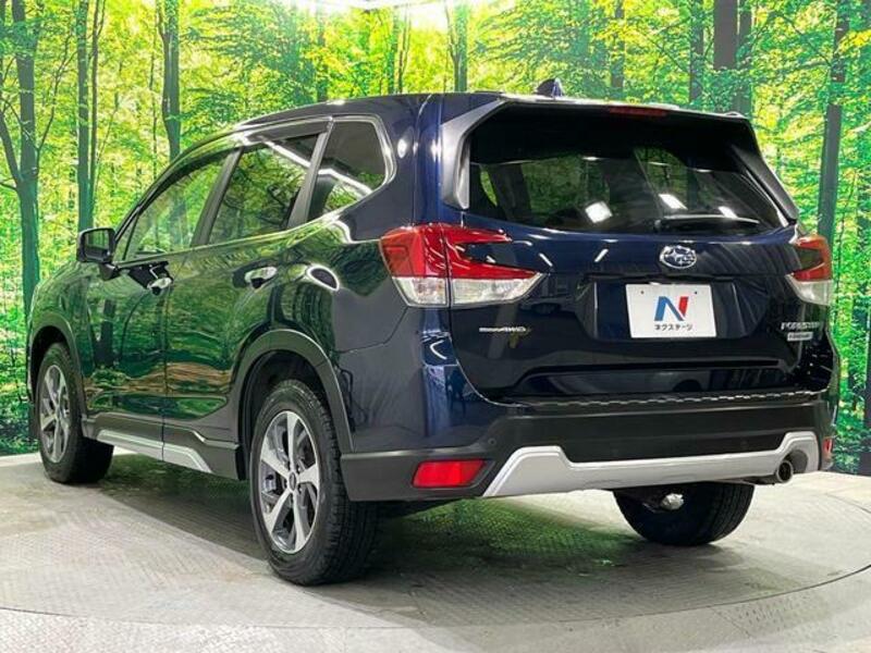 FORESTER-17