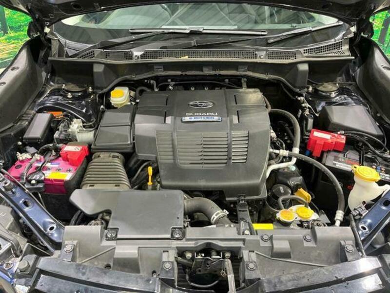 FORESTER-18