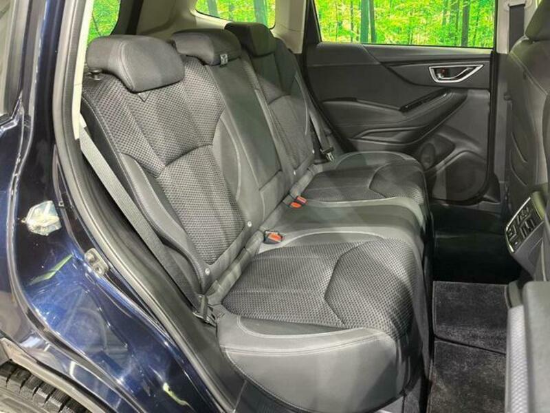FORESTER-9