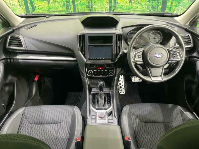 FORESTER-1