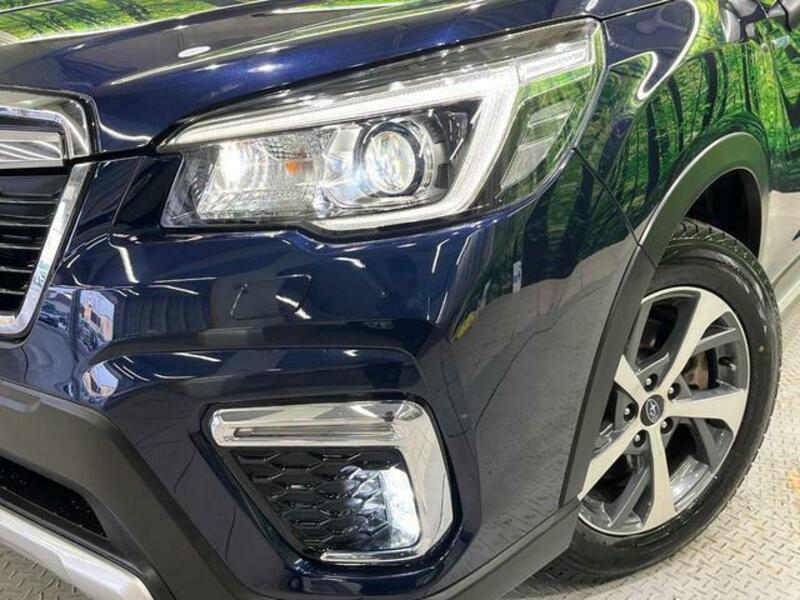 FORESTER-12