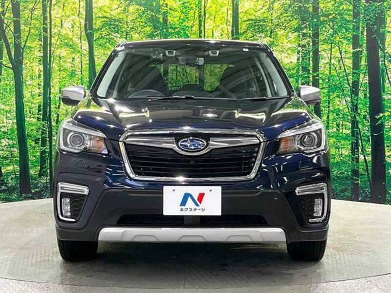 FORESTER-14