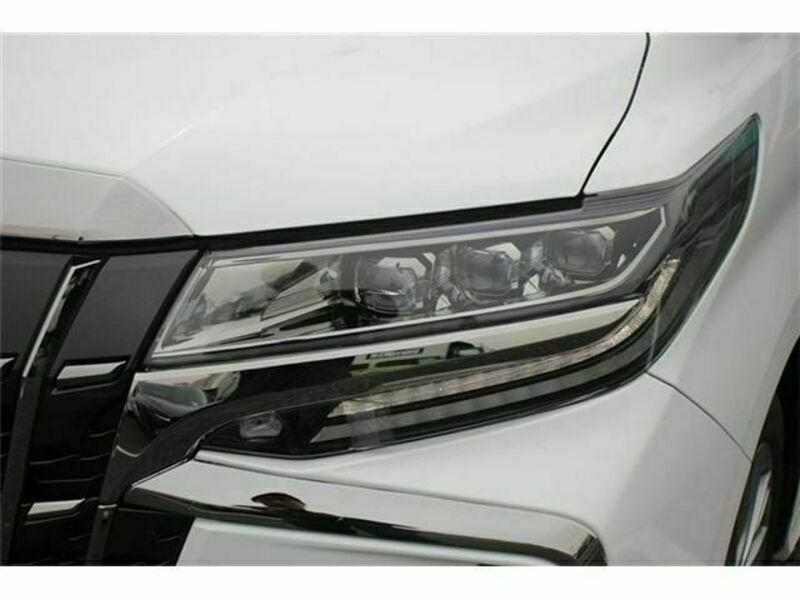 ALPHARD-11