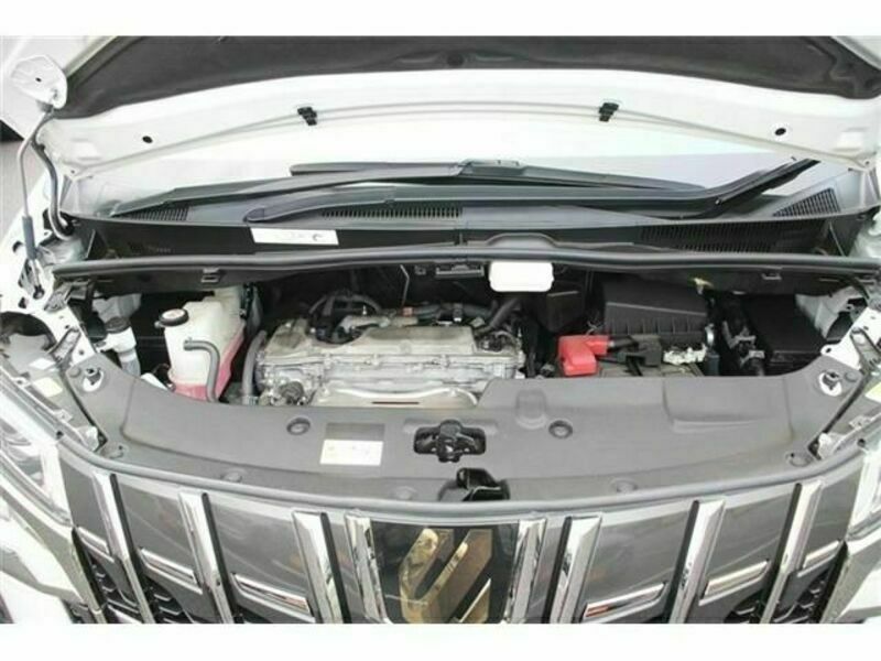 ALPHARD-18