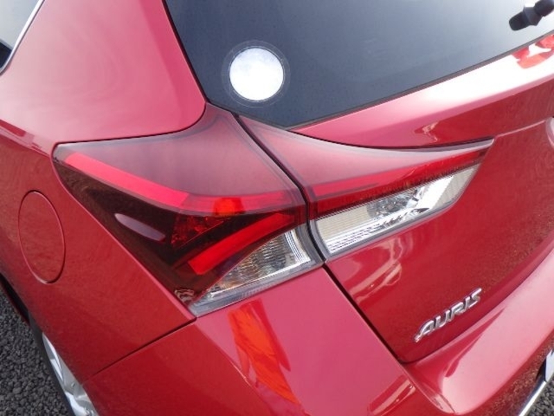 AURIS