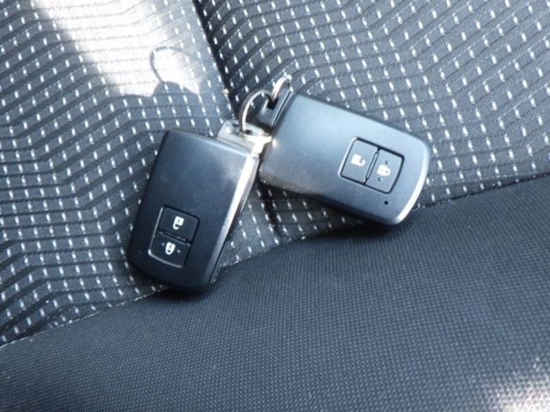 AURIS