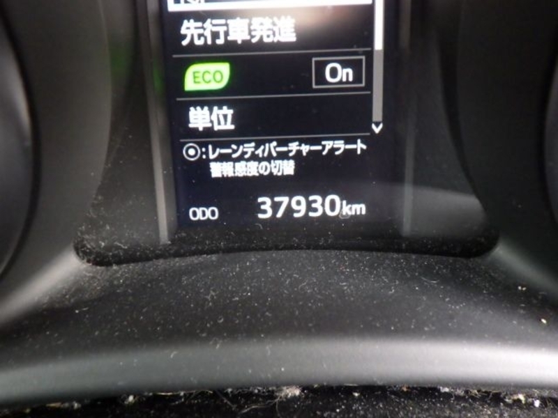 AURIS
