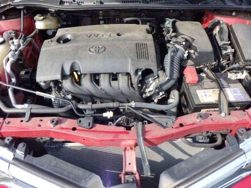 AURIS