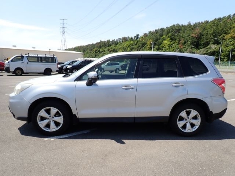 FORESTER